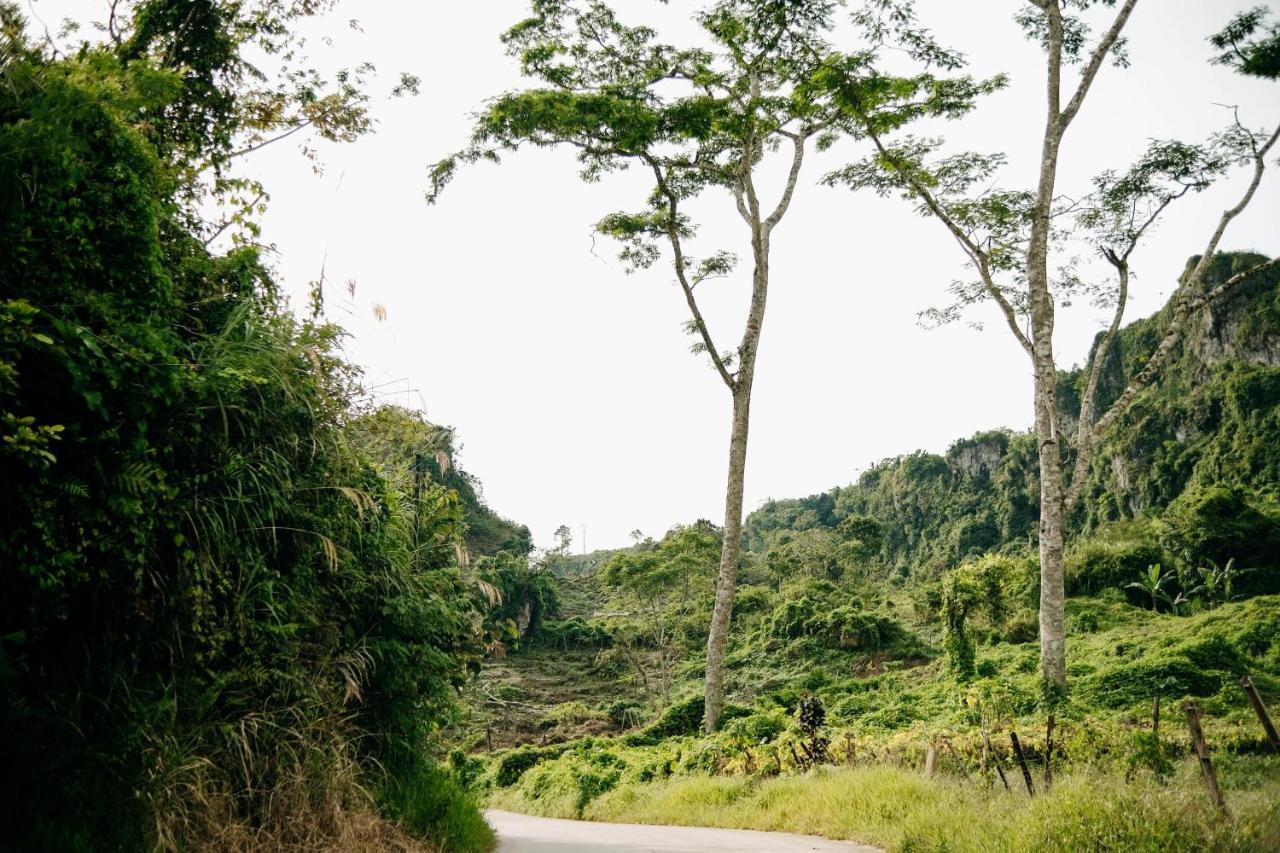 150 Peakway Mountain Resort Dalaguete Eksteriør bilde