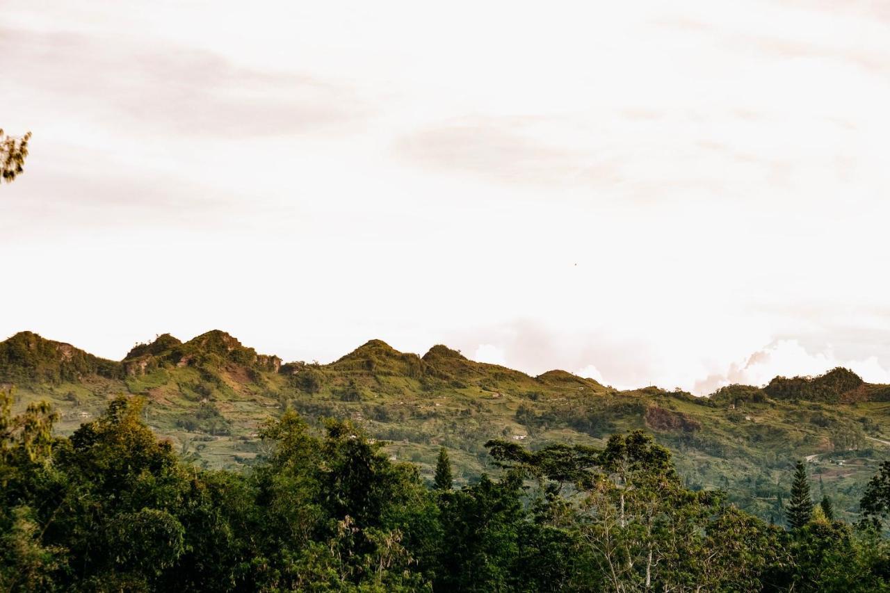 150 Peakway Mountain Resort Dalaguete Eksteriør bilde